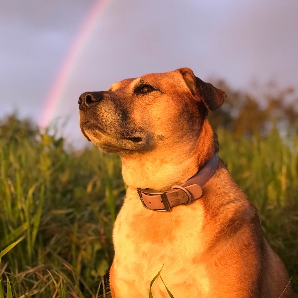Meet your Posher, Caitlin